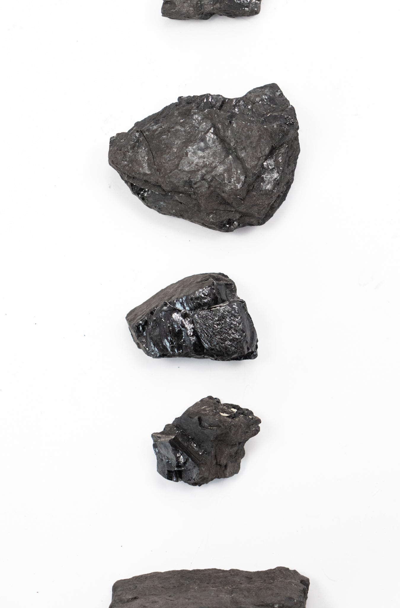 Anthracite - Stemcell Science Shop