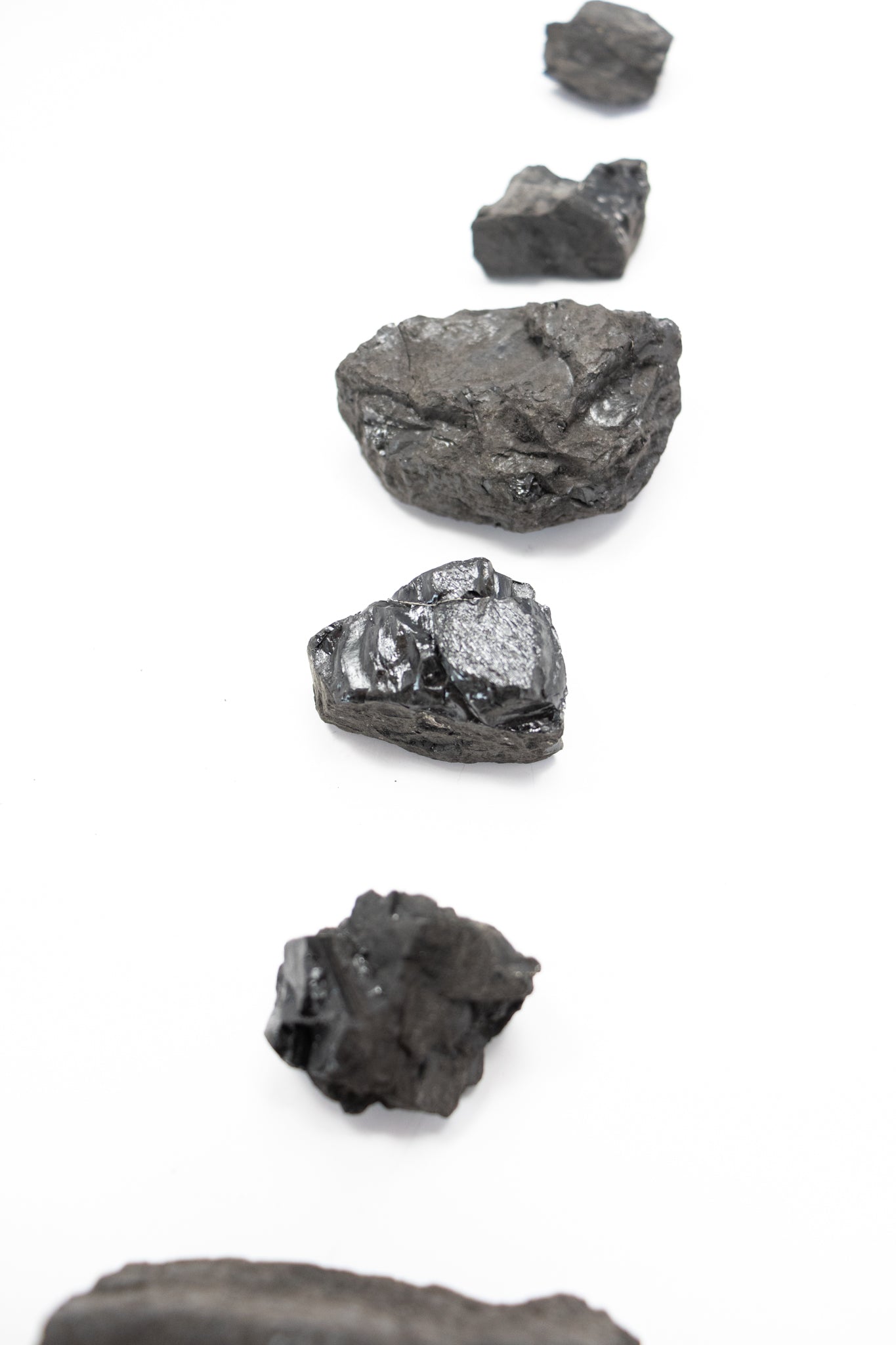 Anthracite - Stemcell Science Shop