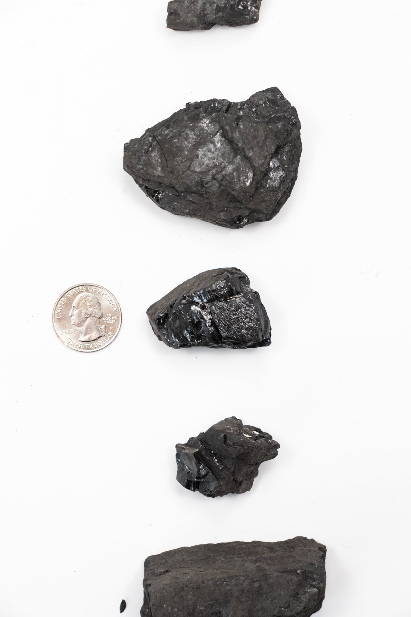Anthracite - Stemcell Science Shop