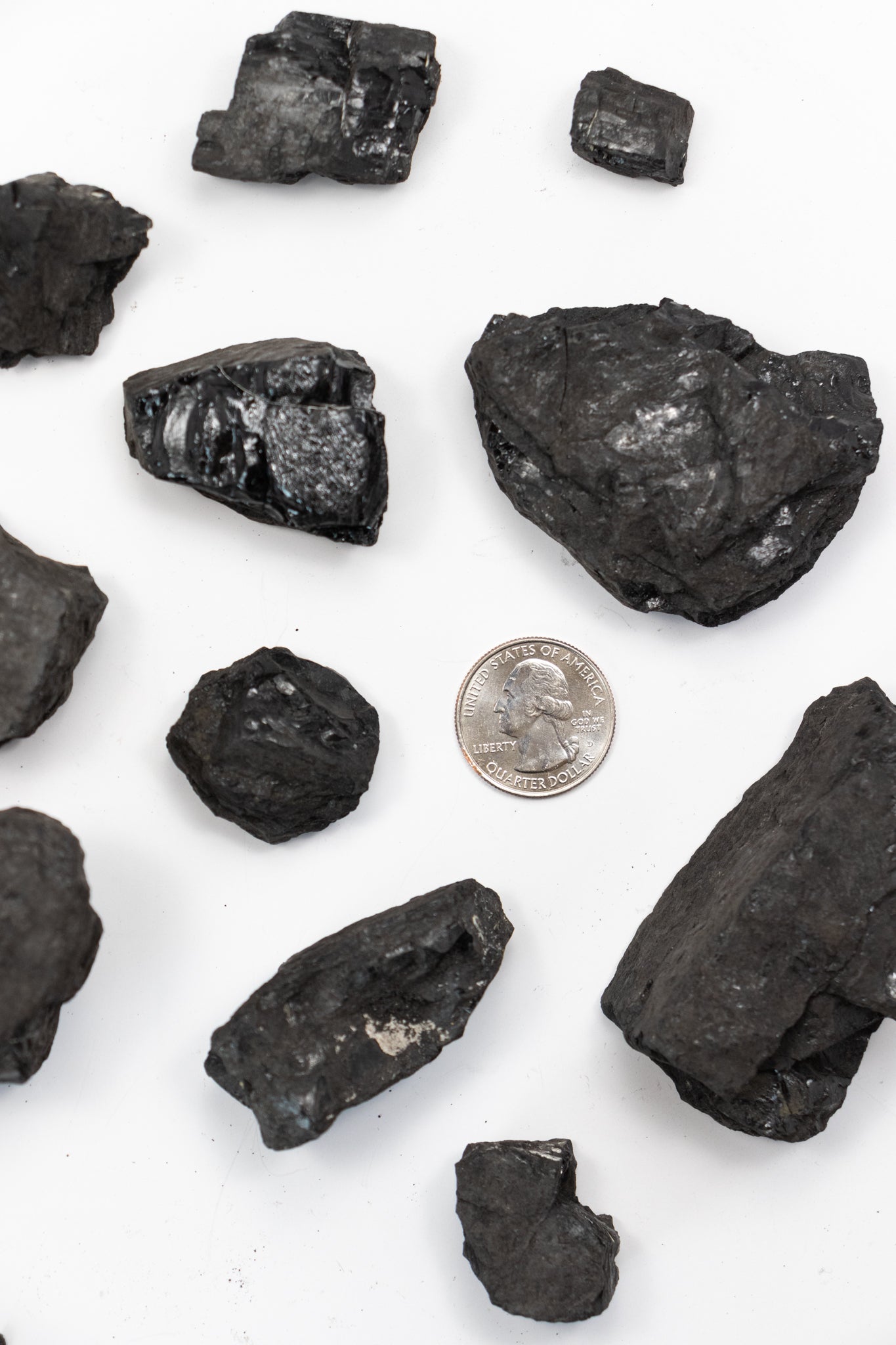 Anthracite - Stemcell Science Shop