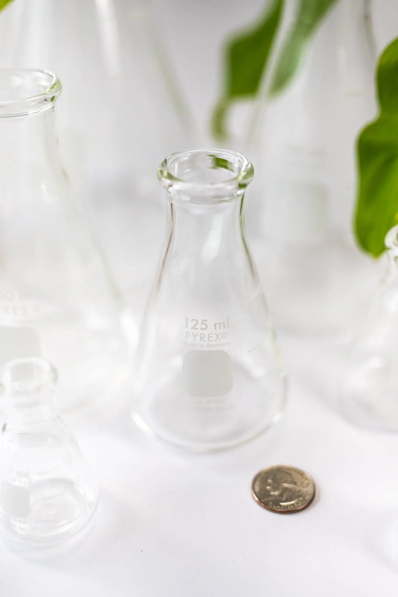 PYREX Erlenmeyer Flask - Stemcell Science Shop