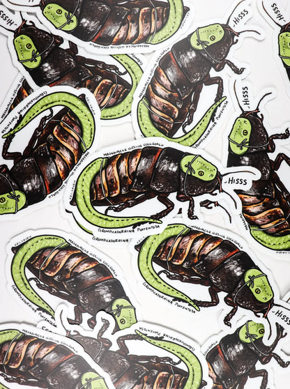 Madagascar Hissing Cockroach Sticker - Stemcell Science Shop
