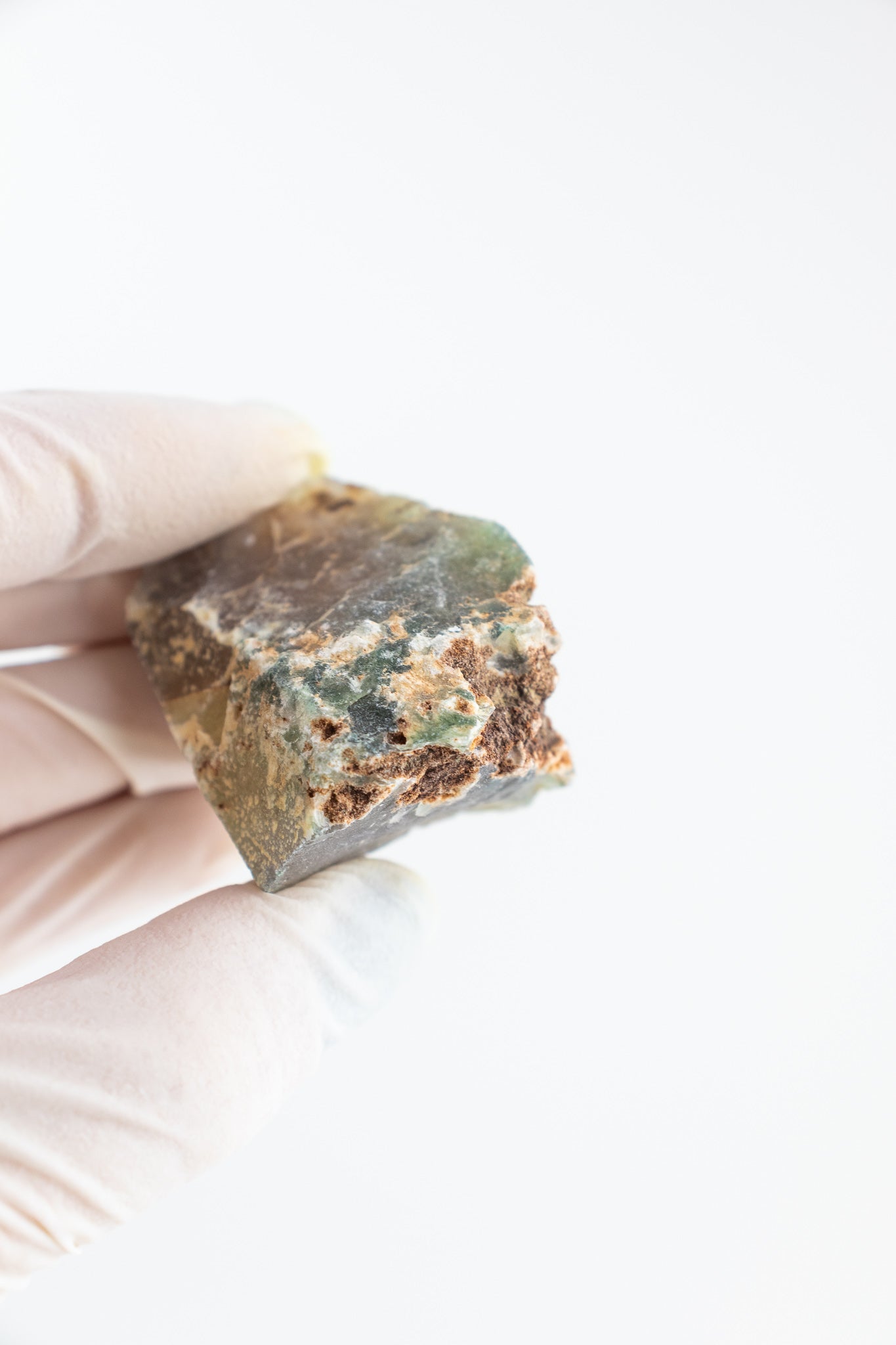 Heliotrope - Stemcell Science Shop