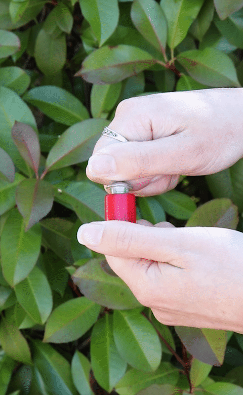 Bird Call - Tool from Stemcell Science Shop