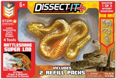 Dissect It Rattlesnake Lab