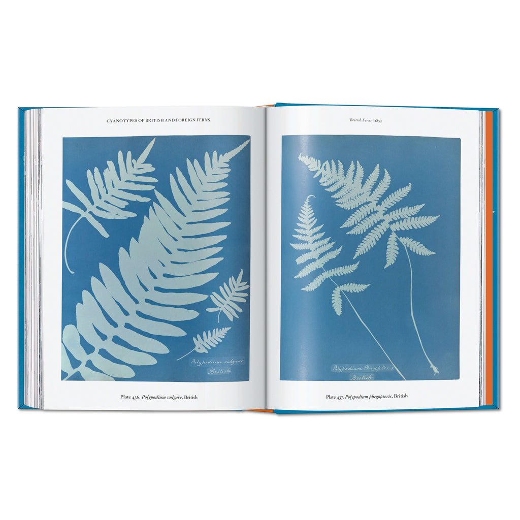 Anna Atkins. Cyanotypes. 45th Ed. (German, French, English)