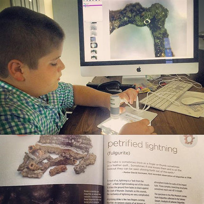 Petrified Lightning - Saharan Fulgurite Riker Box Specimen