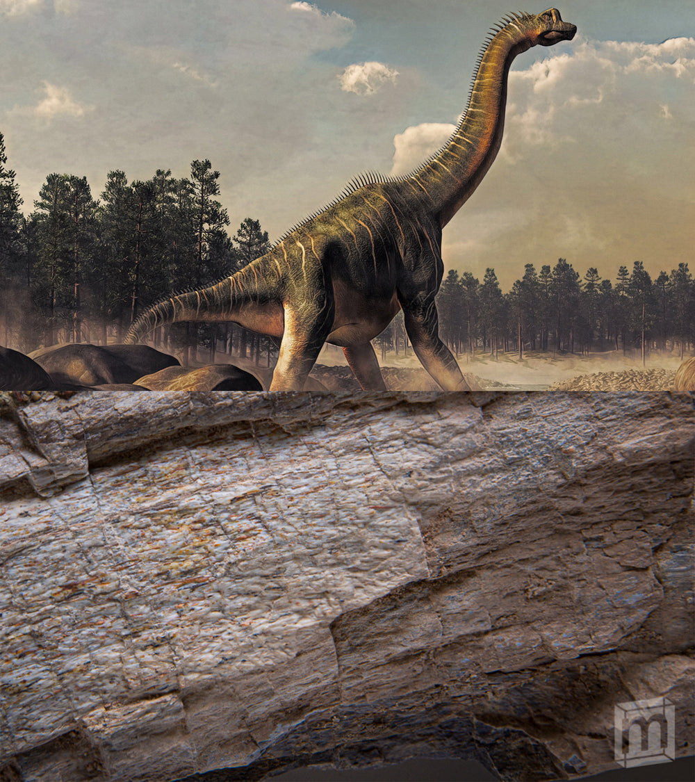 Brachiosaurus Bone