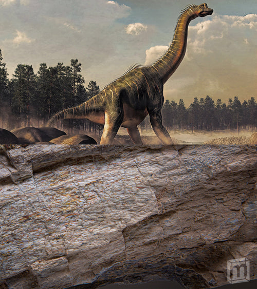 Brachiosaurus Bone