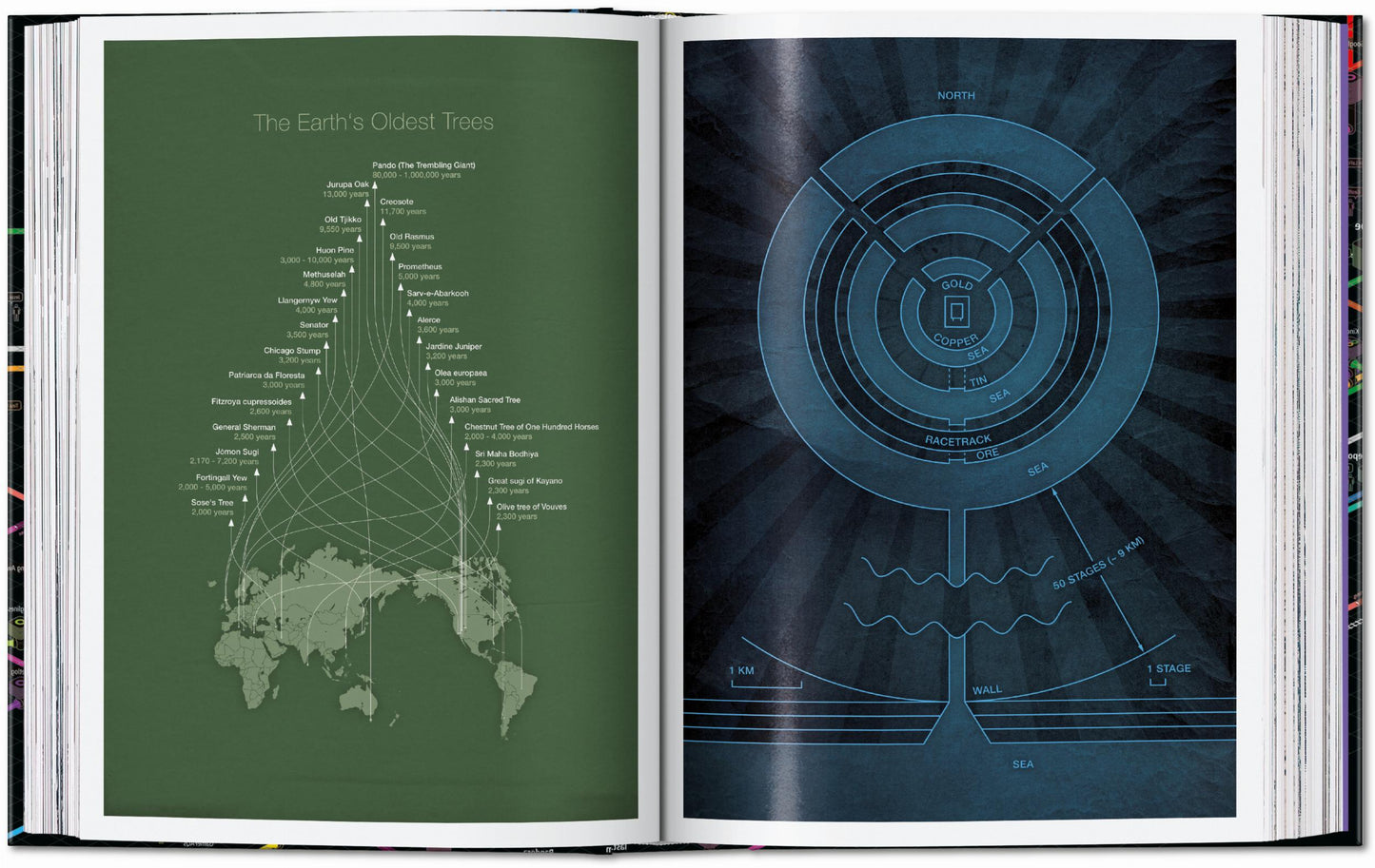 Information Graphics. 45th Ed. (English)