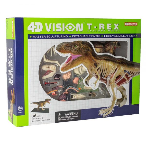 4D T-Rex Vision Model - Stemcell Science Shop