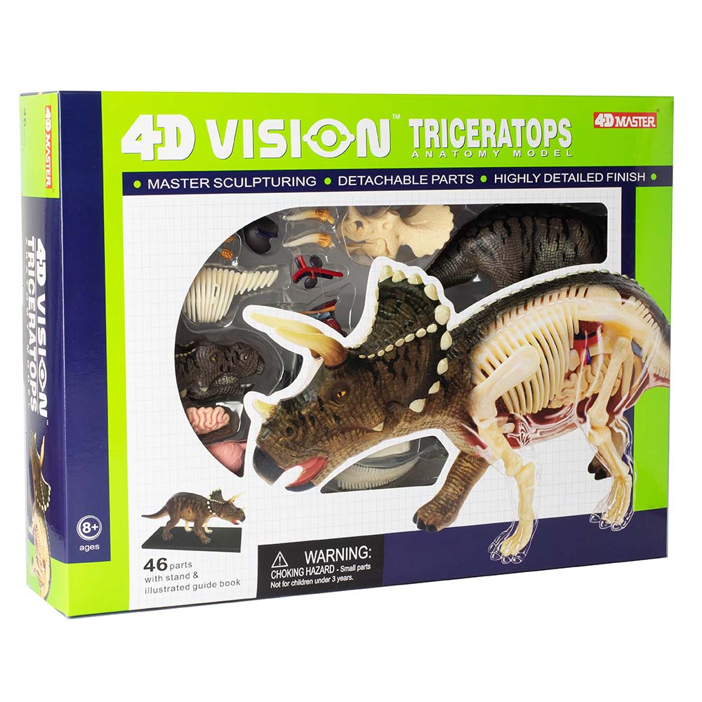 4D Triceratops Vision Model - Stemcell Science Shop