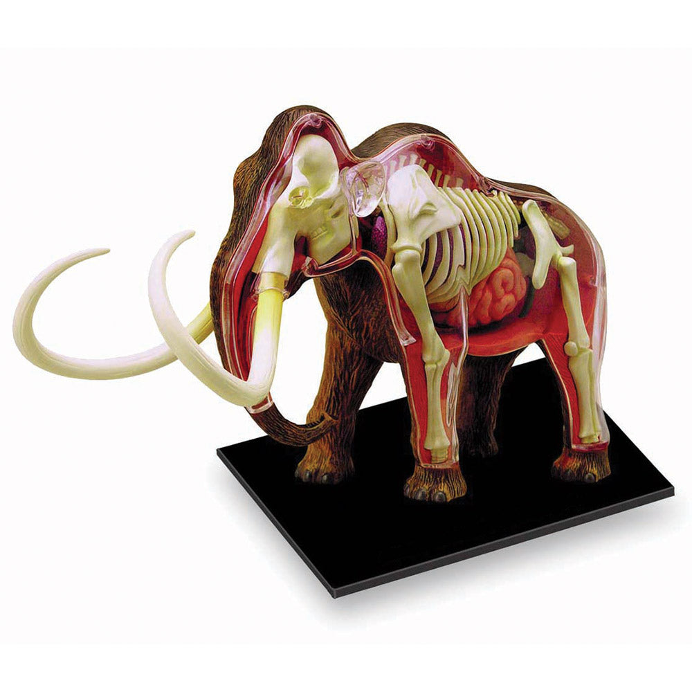 4D Woolly Mammoth - Stemcell Science Shop
