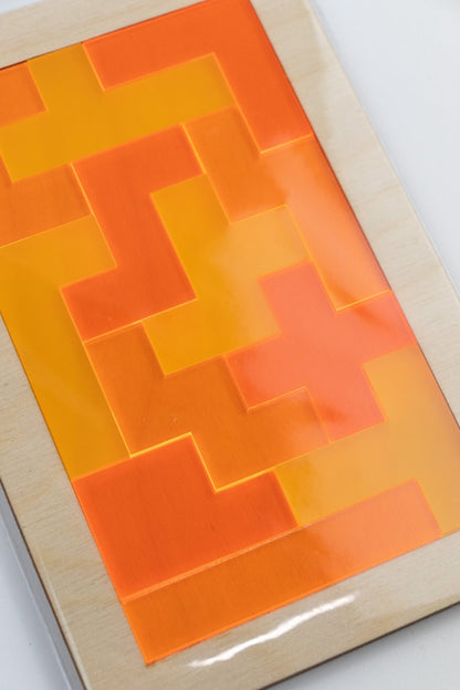 3 - Color Pentomino Puzzle Demonstration Stemcell Science Shop