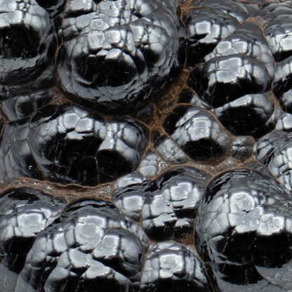 Botryoidal Hematite - Polished Handheld Specimens
