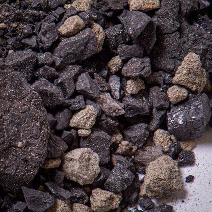 Death of the Dinosaurs - K-Pg Boundary and Deccan Traps