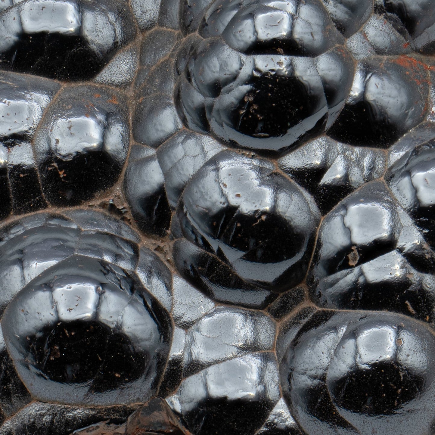 Botryoidal Hematite - Polished Handheld Specimens