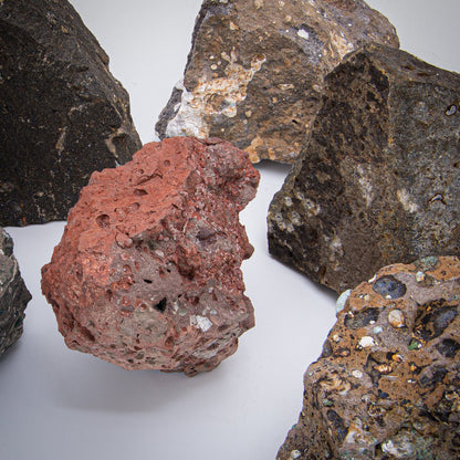 Death of the Dinosaurs - K-Pg Boundary and Deccan Traps