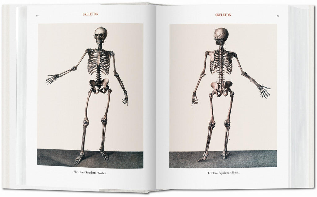 Bourgery. Atlas of Human Anatomy and Surgery (German, French, English)