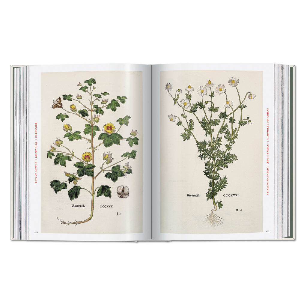 Leonhart Fuchs. The New Herbal (German, French, English)
