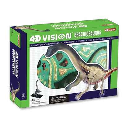 4D Brachiosaurus Model Model Stemcell Science Shop