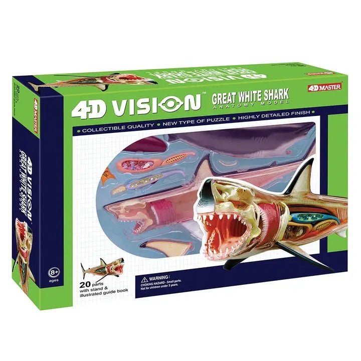 4D Great White Shark Kids Stemcell Science Shop