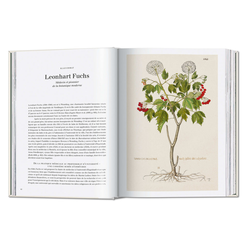 Leonhart Fuchs. The New Herbal (German, French, English)