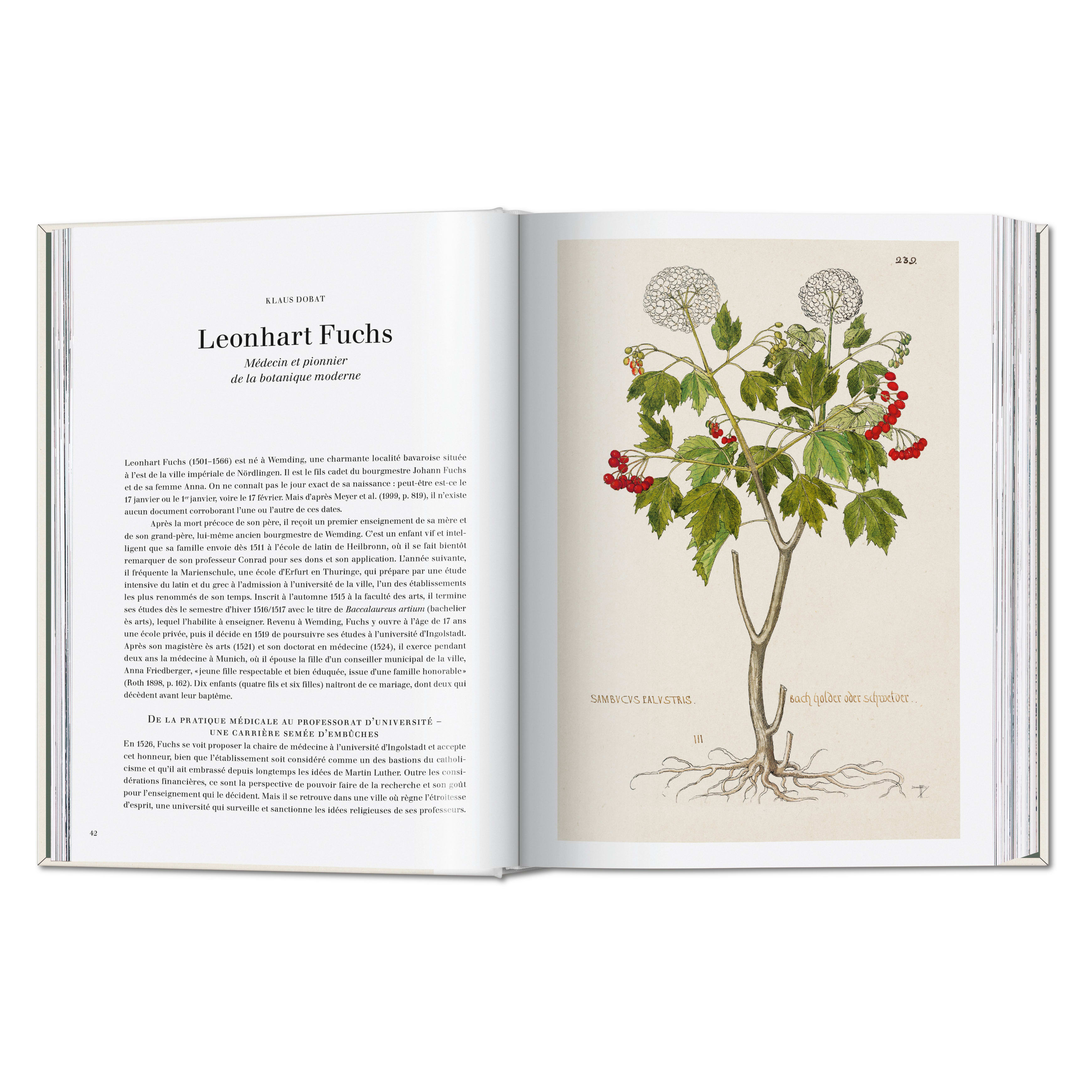Leonhart Fuchs. The New Herbal (German, French, English)