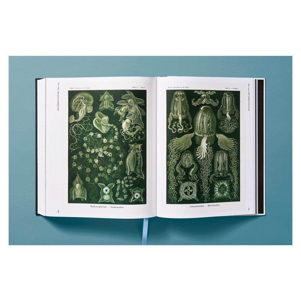 The Art and Science of Ernst Haeckel (German, French, English)
