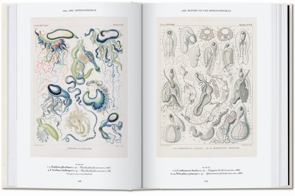 The Art and Science of Ernst Haeckel. 45th Ed. (English)