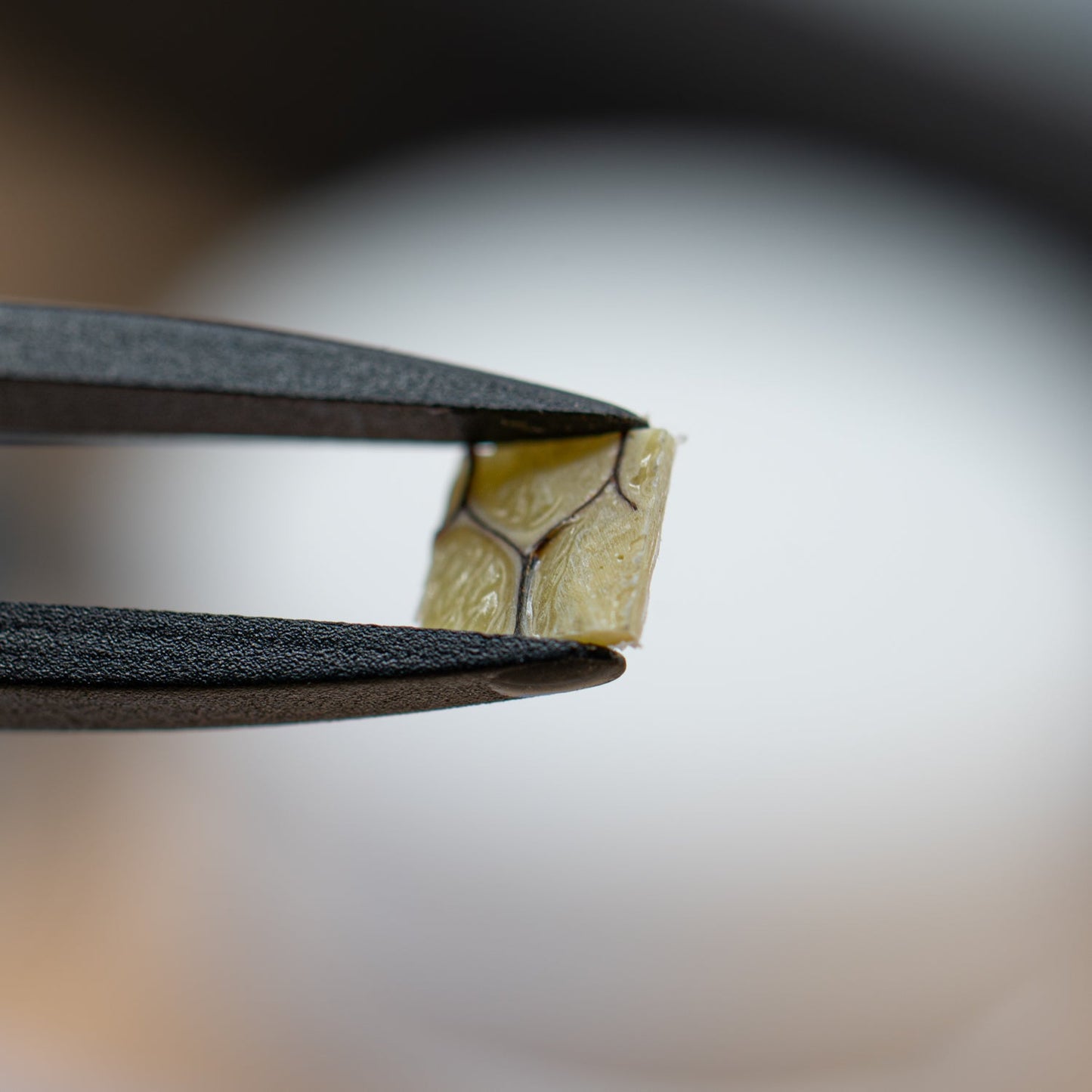 Boeing 747 - EI-BED Horizontal Stabilizer