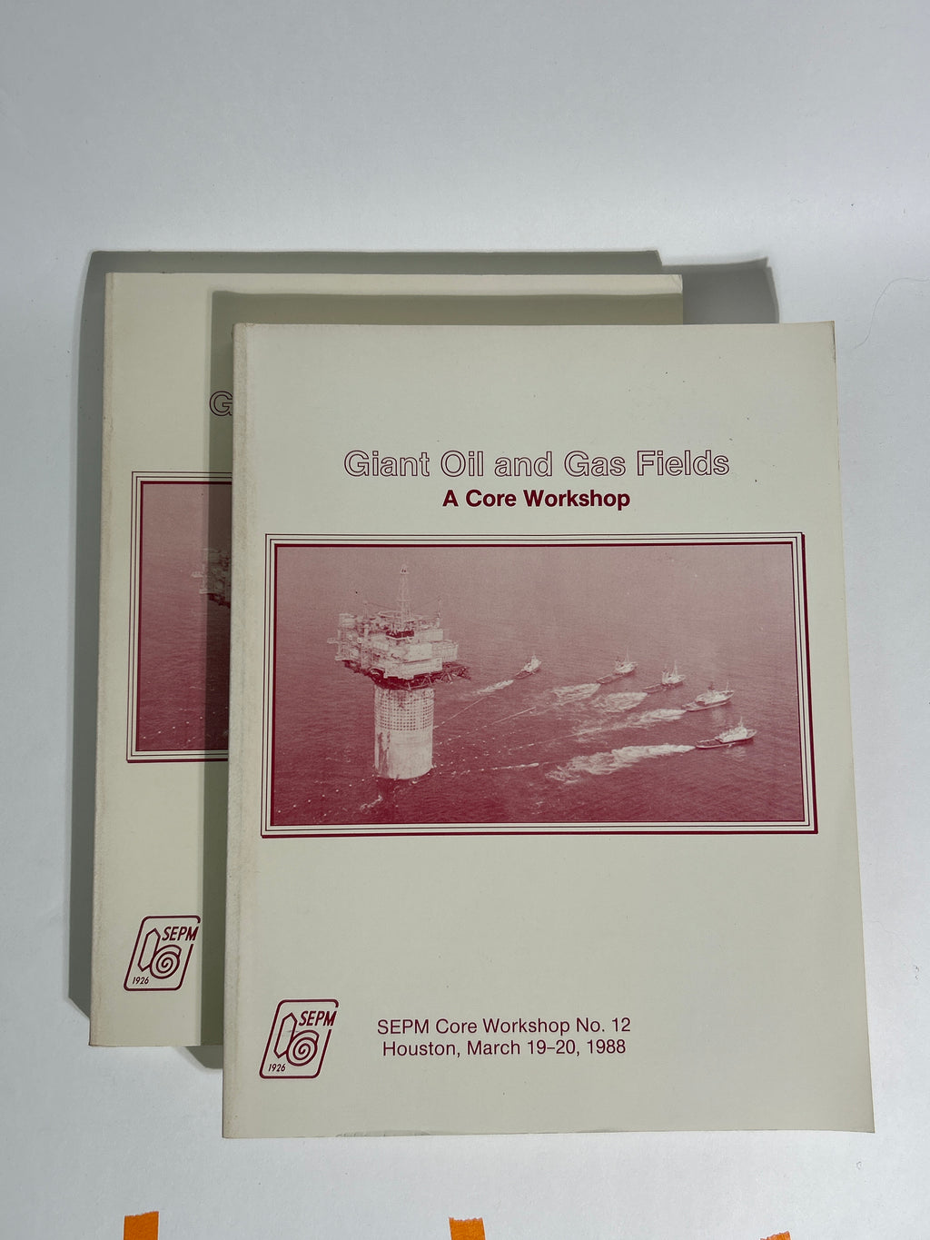 Professional Petroleum Geology & Well Log Library – AAPG Schlumberger 12 Books