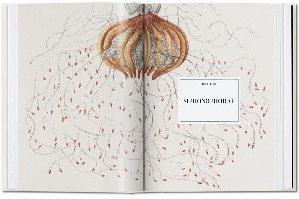 The Art and Science of Ernst Haeckel. 45th Ed. (English)