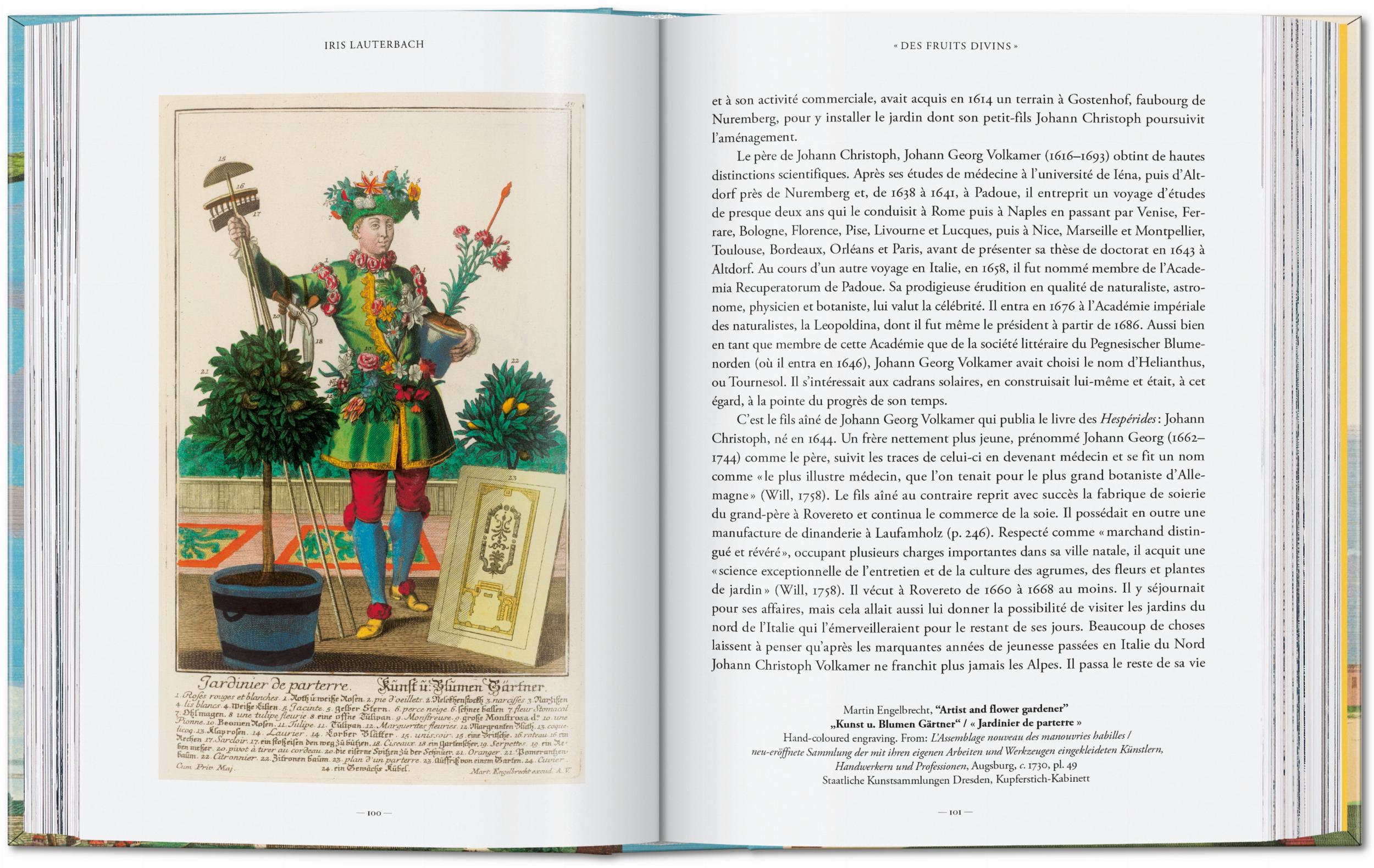 J. C. Volkamer. The Book of Citrus Fruits. 45th Ed. (German, French, English)