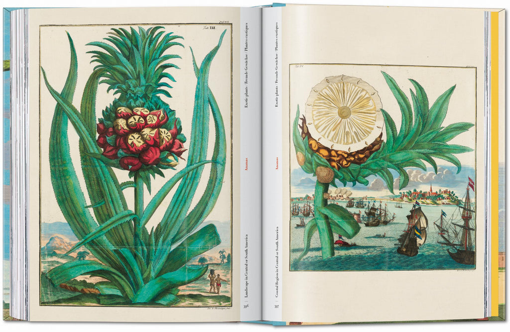 J. C. Volkamer. The Book of Citrus Fruits. 45th Ed. (German, French, English)