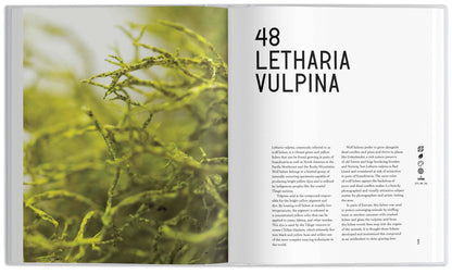 The Universe in 100 Colors