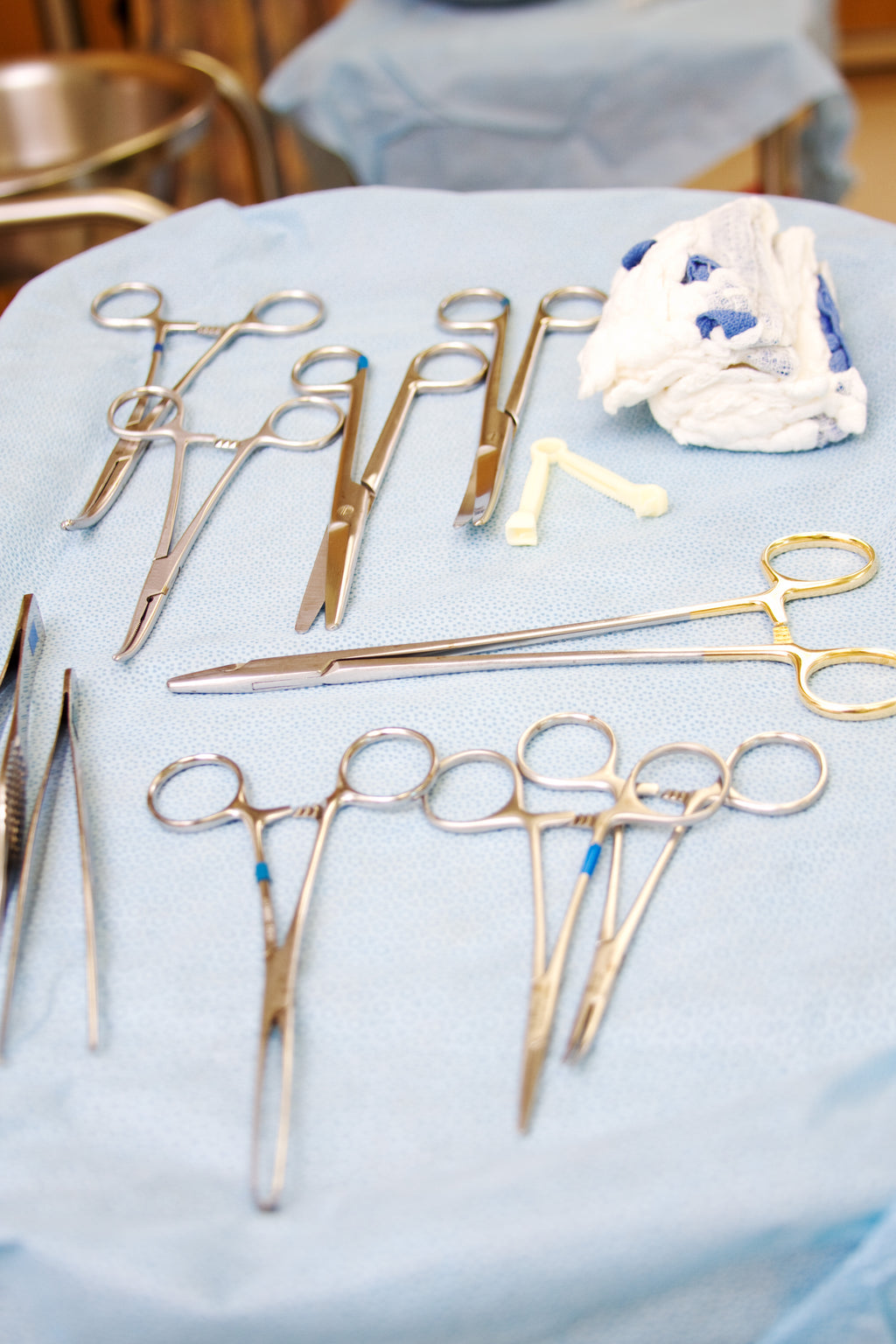 Large Surgical Scissors - 6.5", Default Title at Stemcell Science Shop