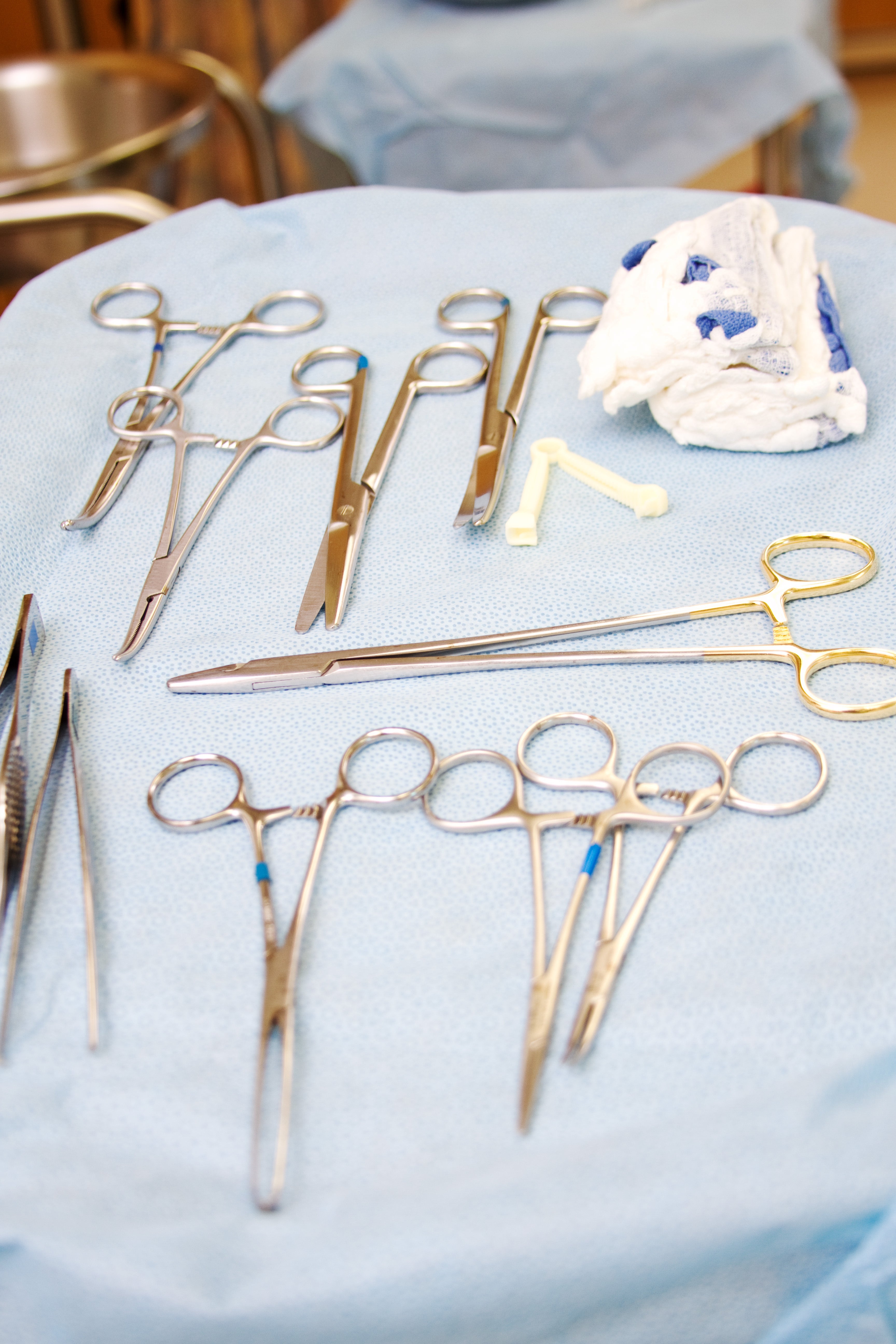 Large Surgical Scissors - 6.5", Default Title at Stemcell Science Shop