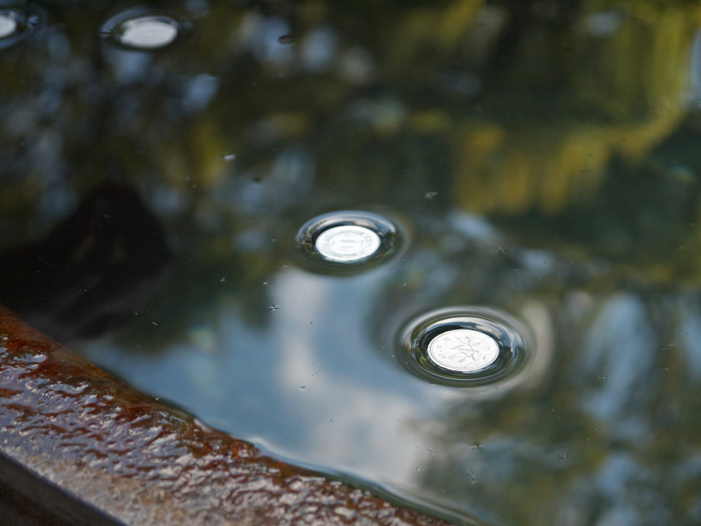 Floating Coins - 3/pk