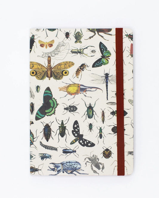 Insect Plate 3 Notebook - Stemcell Science Shop
