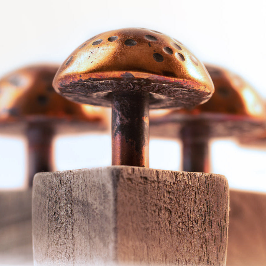 Copper Mushroom with Wood Stand