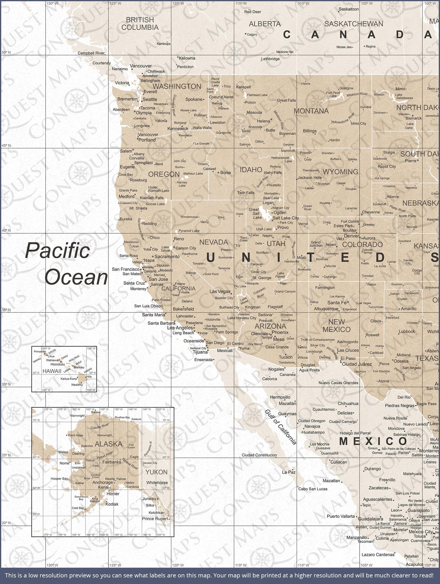 Push Pin USA Map: Light Brown (Pins Included)