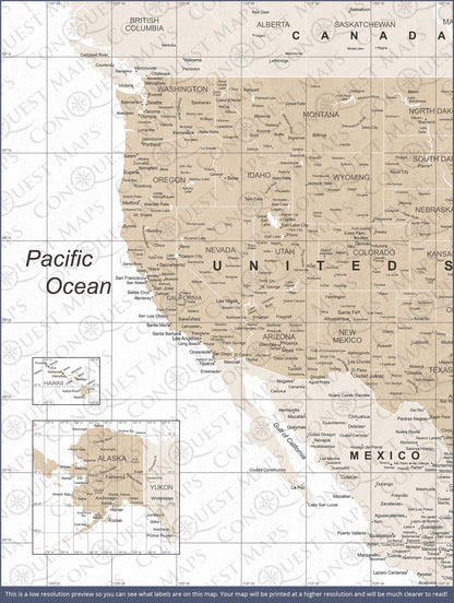 Push Pin USA Map: Light Brown (Pins Included)