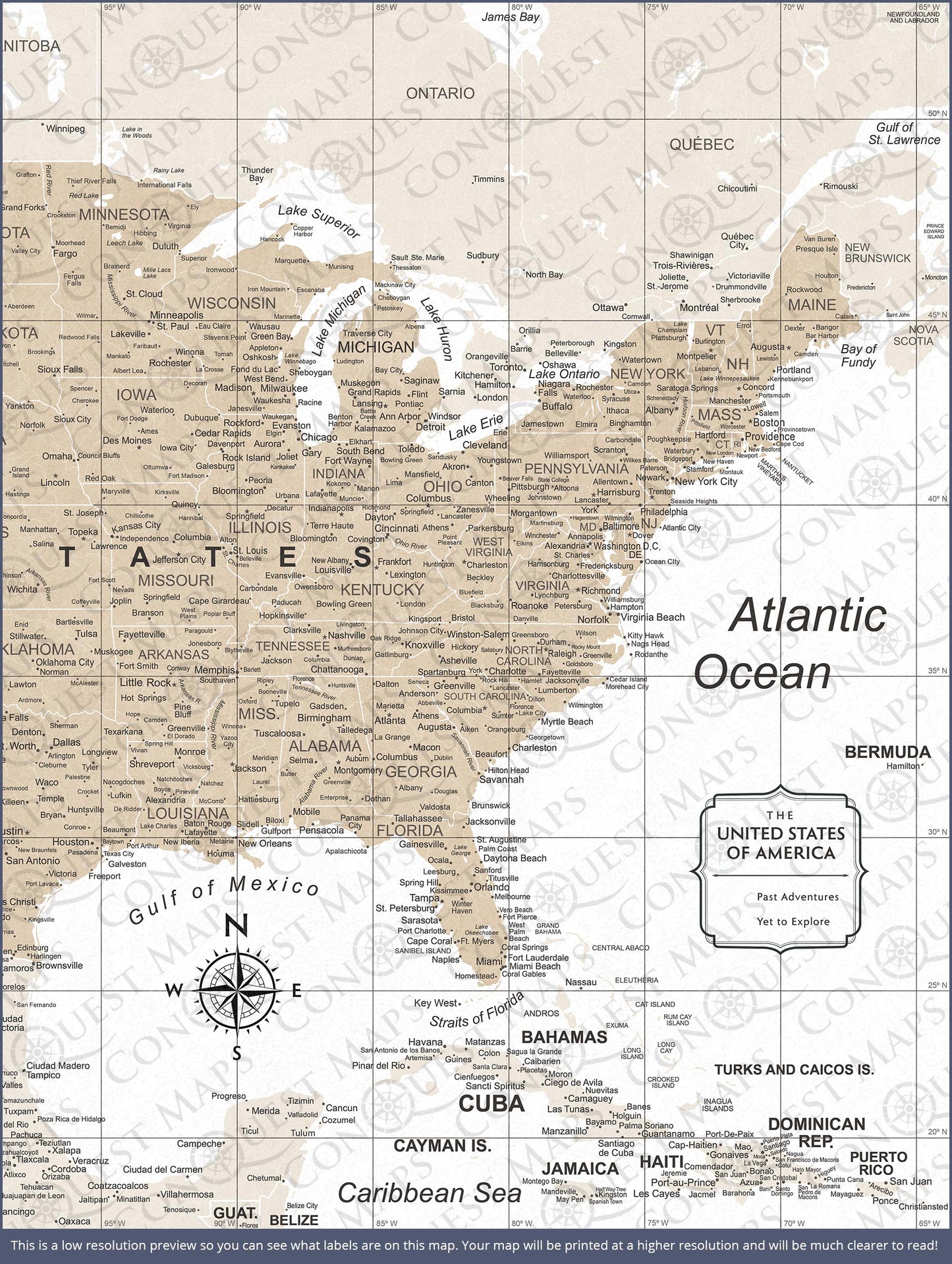 Push Pin USA Map: Light Brown (Pins Included)