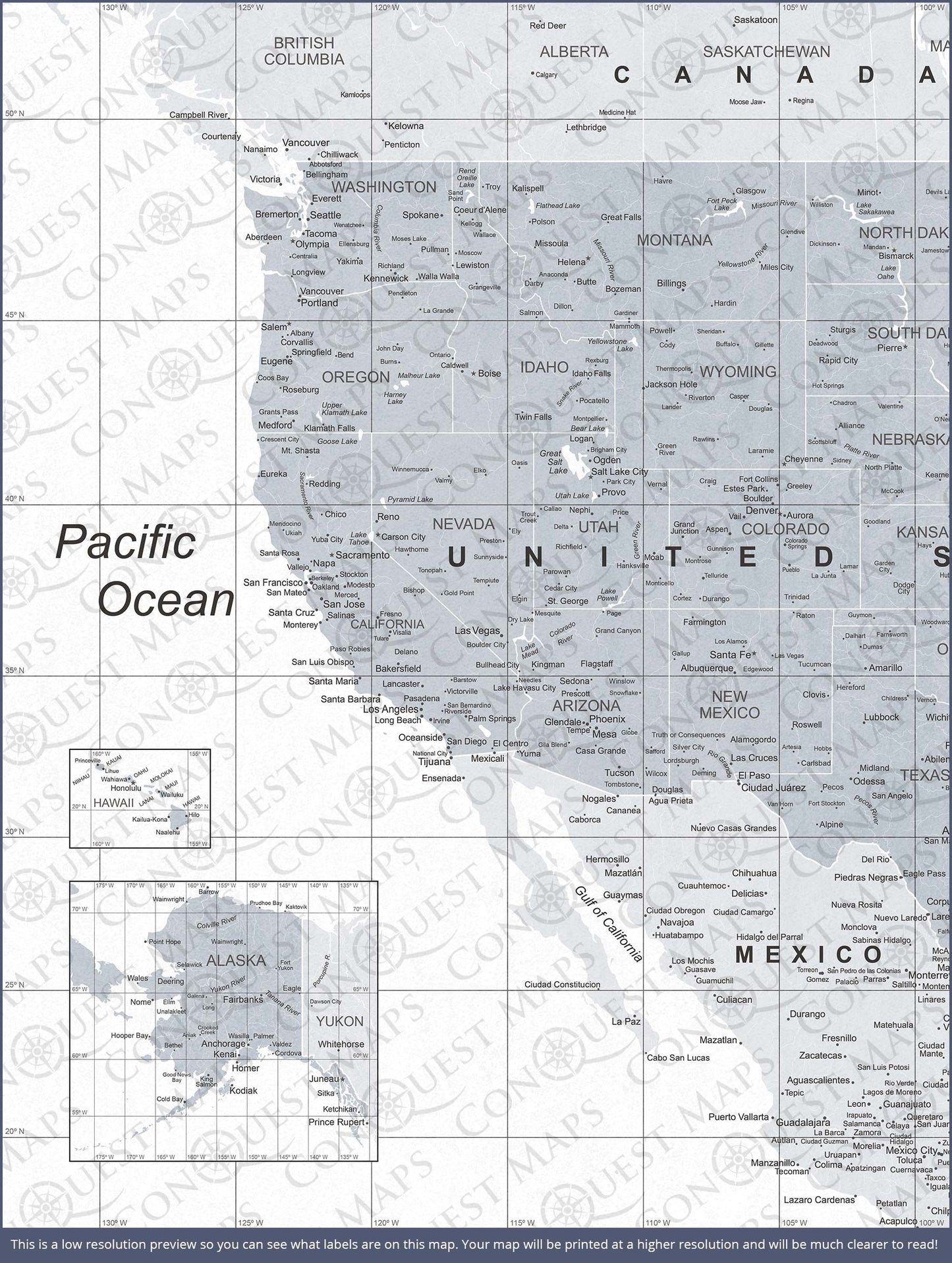 Push Pin USA Map: Light Grey (Pins Included)