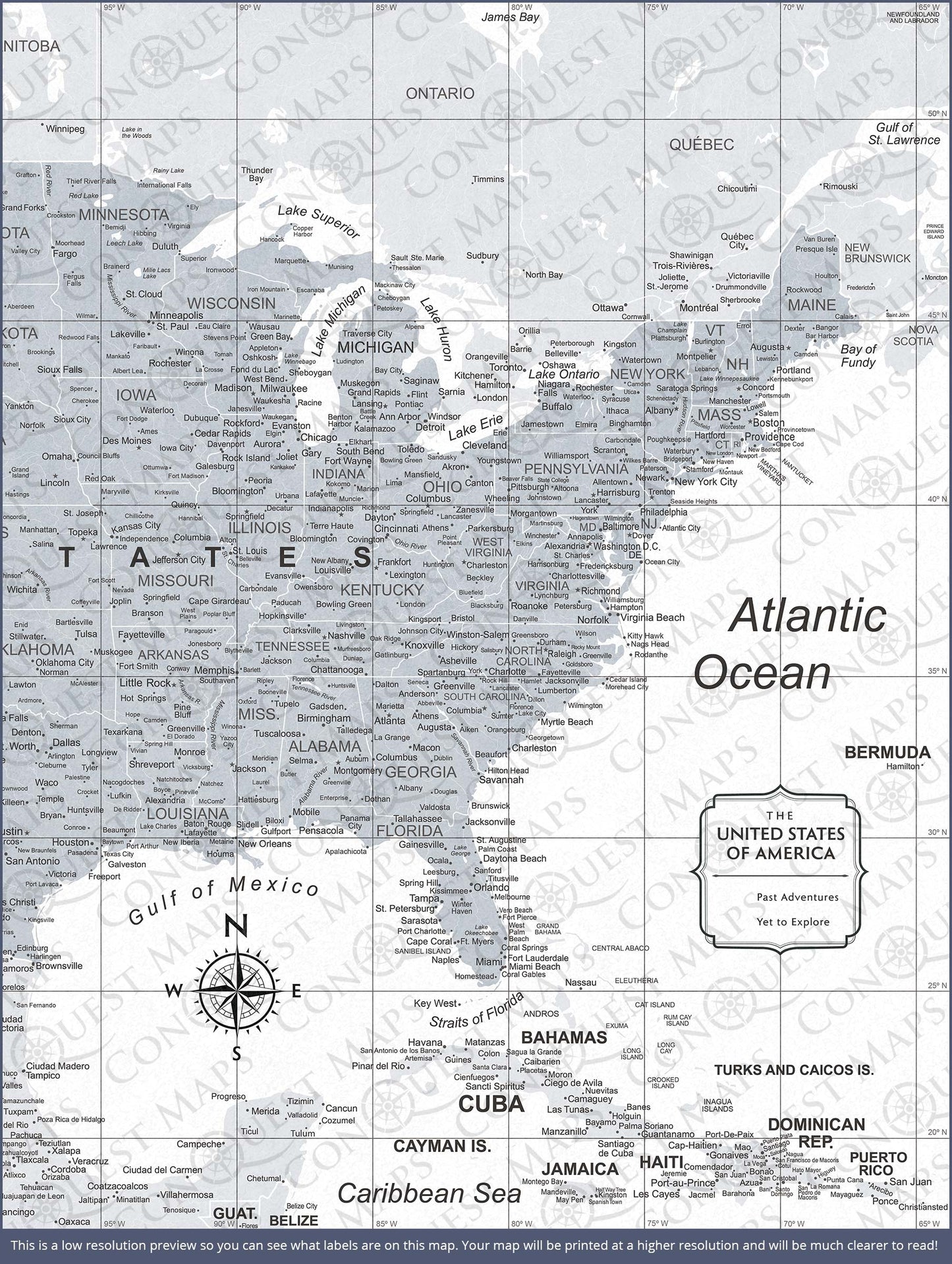 Push Pin USA Map: Light Grey (Pins Included)