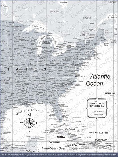 Push Pin USA Map: Light Grey (Pins Included)