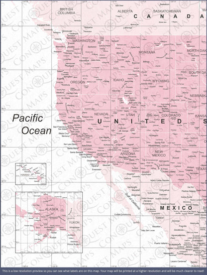 Push Pin USA Map: Pink (Pins Included)