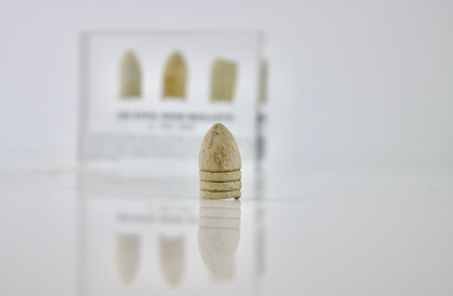 Civil War Bullets Artifact Display