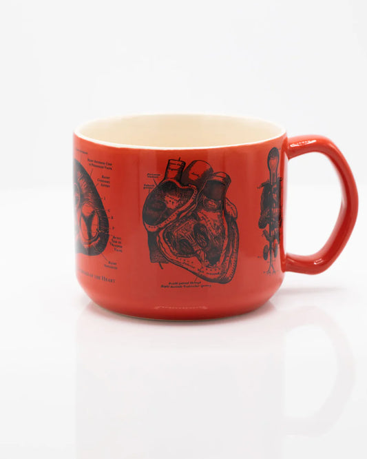 Heart Anatomy 15 oz Ceramic Mug - Stemcell Science Shop